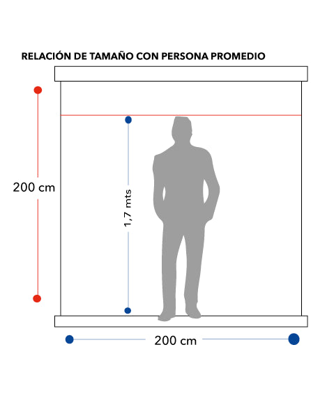 Telon Mural 2,00 x 2,00 Metros con SLR* (112" Diagonal) 1:1